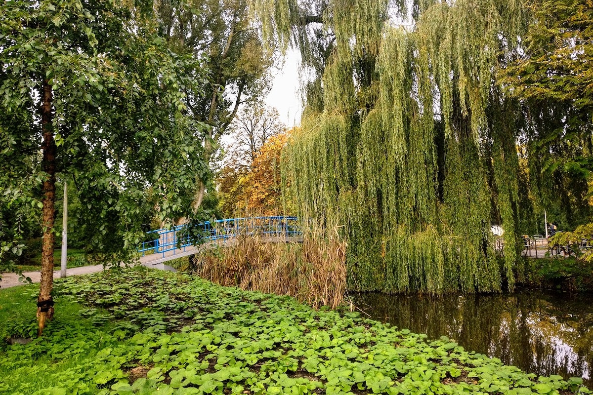 Amsterdam 17