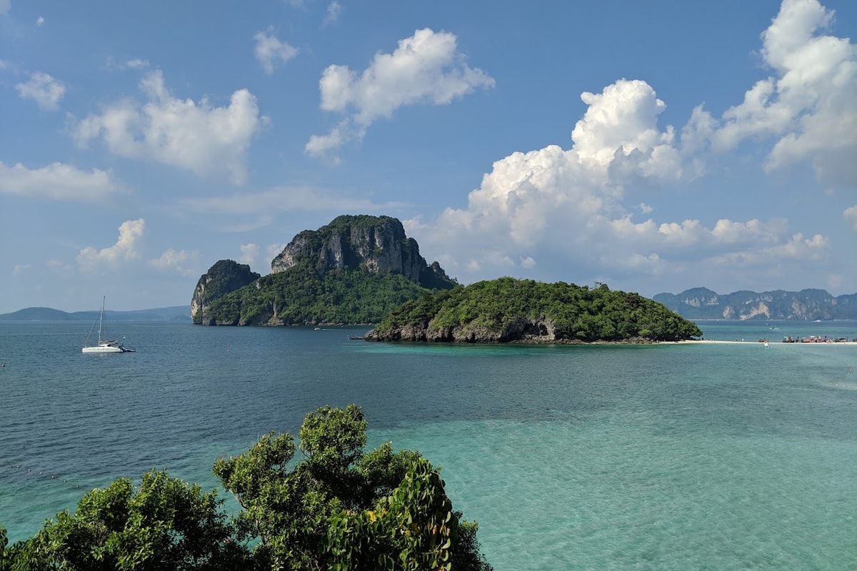 Chicken island 1