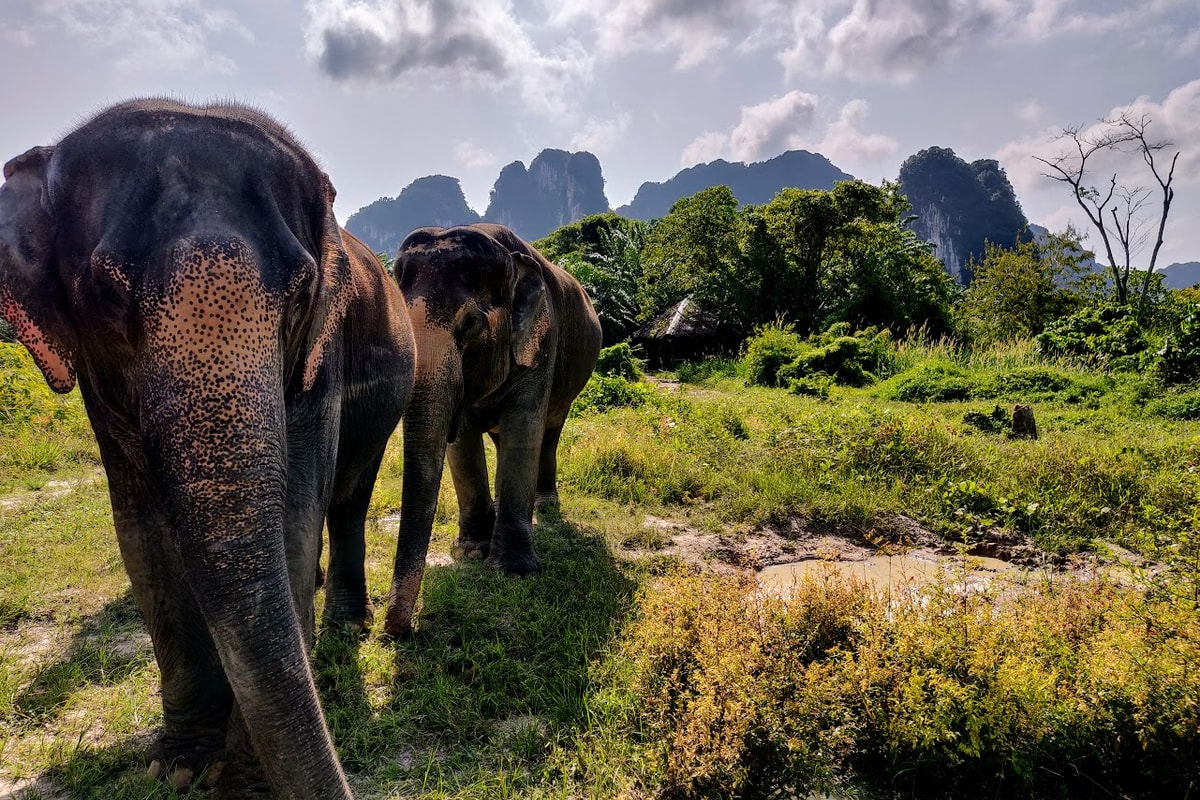 Krabi Sanctuary