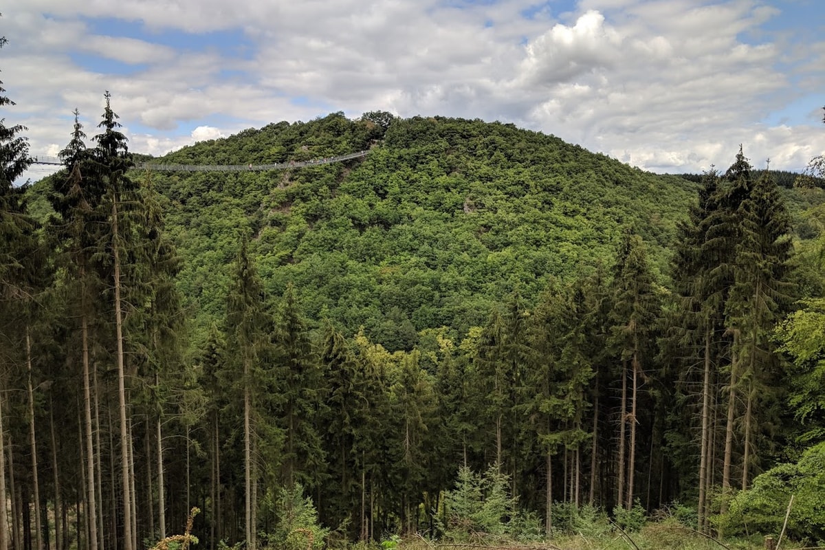 MVIMG_20180825_144812