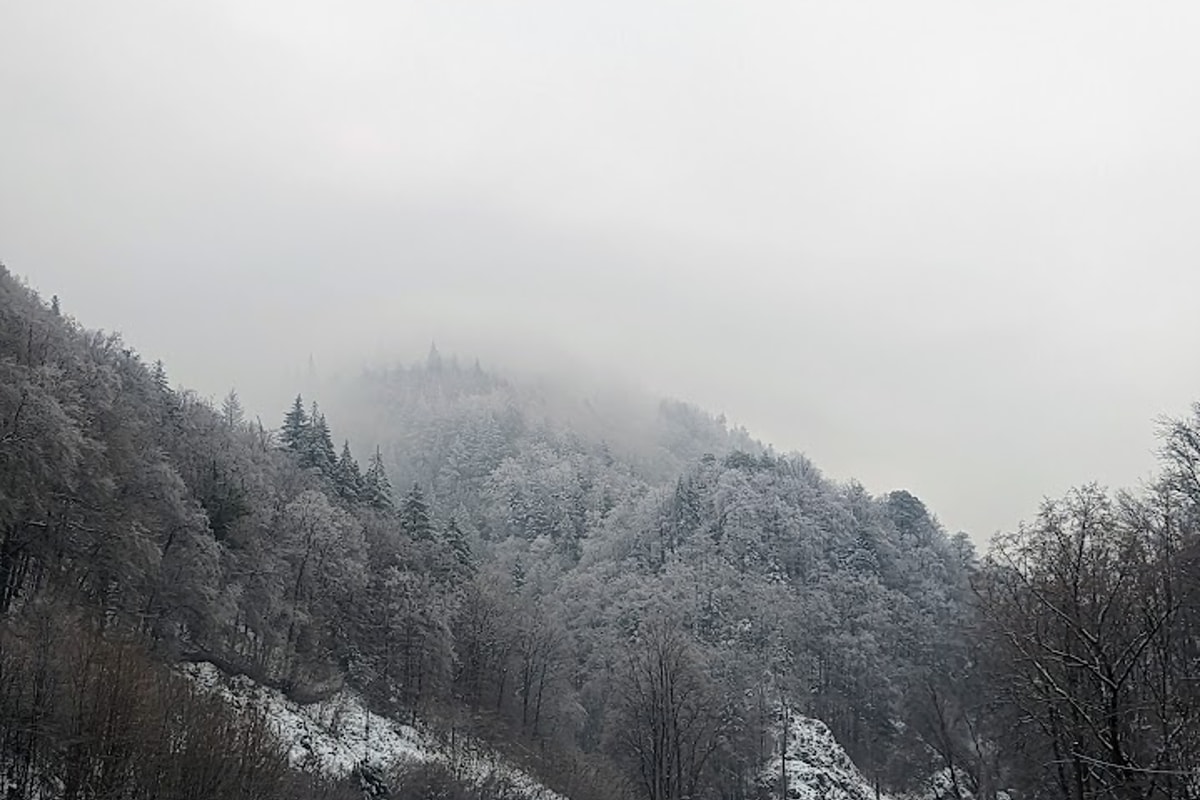 PXL_20221216_122550383