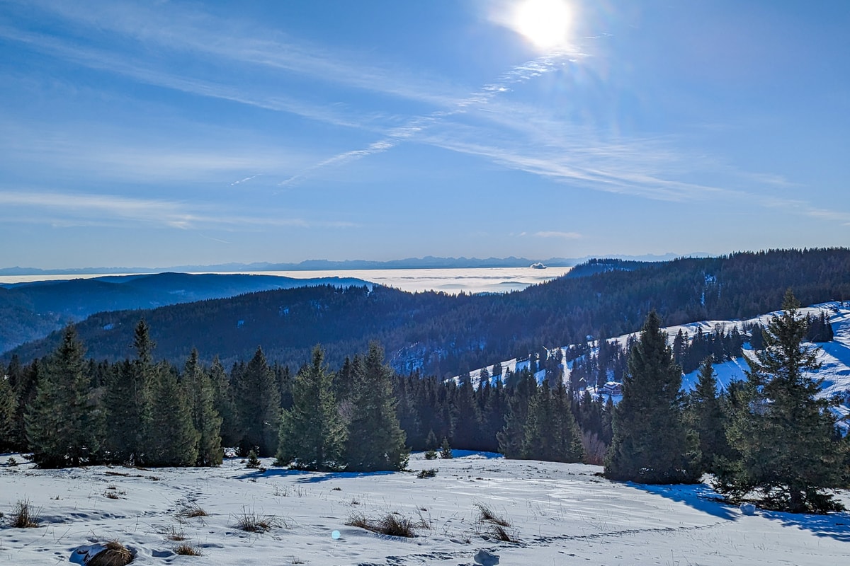 PXL_20221218_095009372 (1)