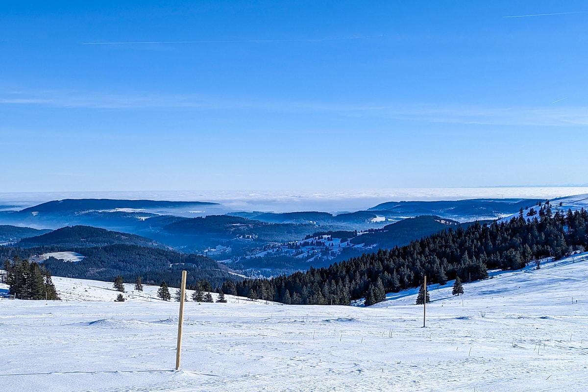PXL_20221218_100942176 (1)