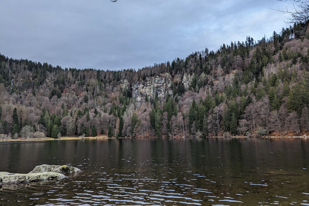 PXL_20221227_081508051 (1)