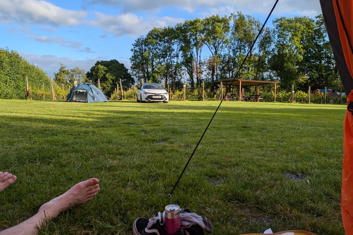 Ten Acres Vineyard