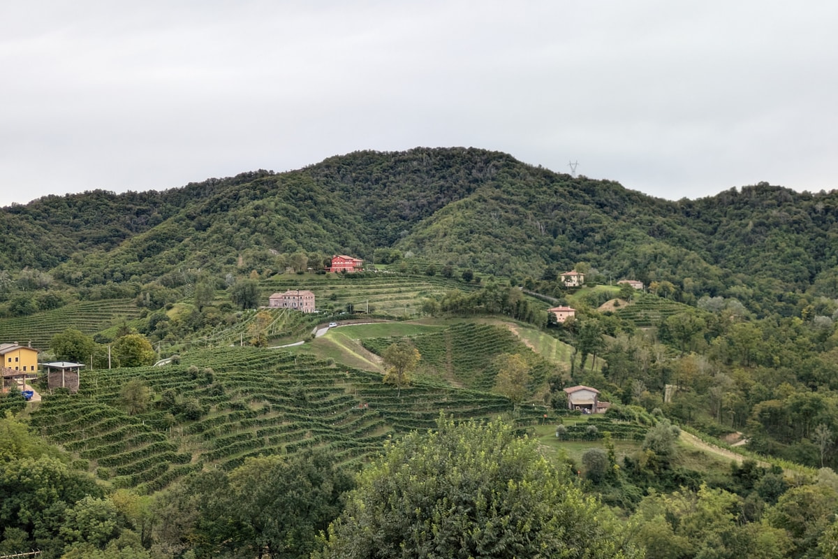 Prosecco Hills
