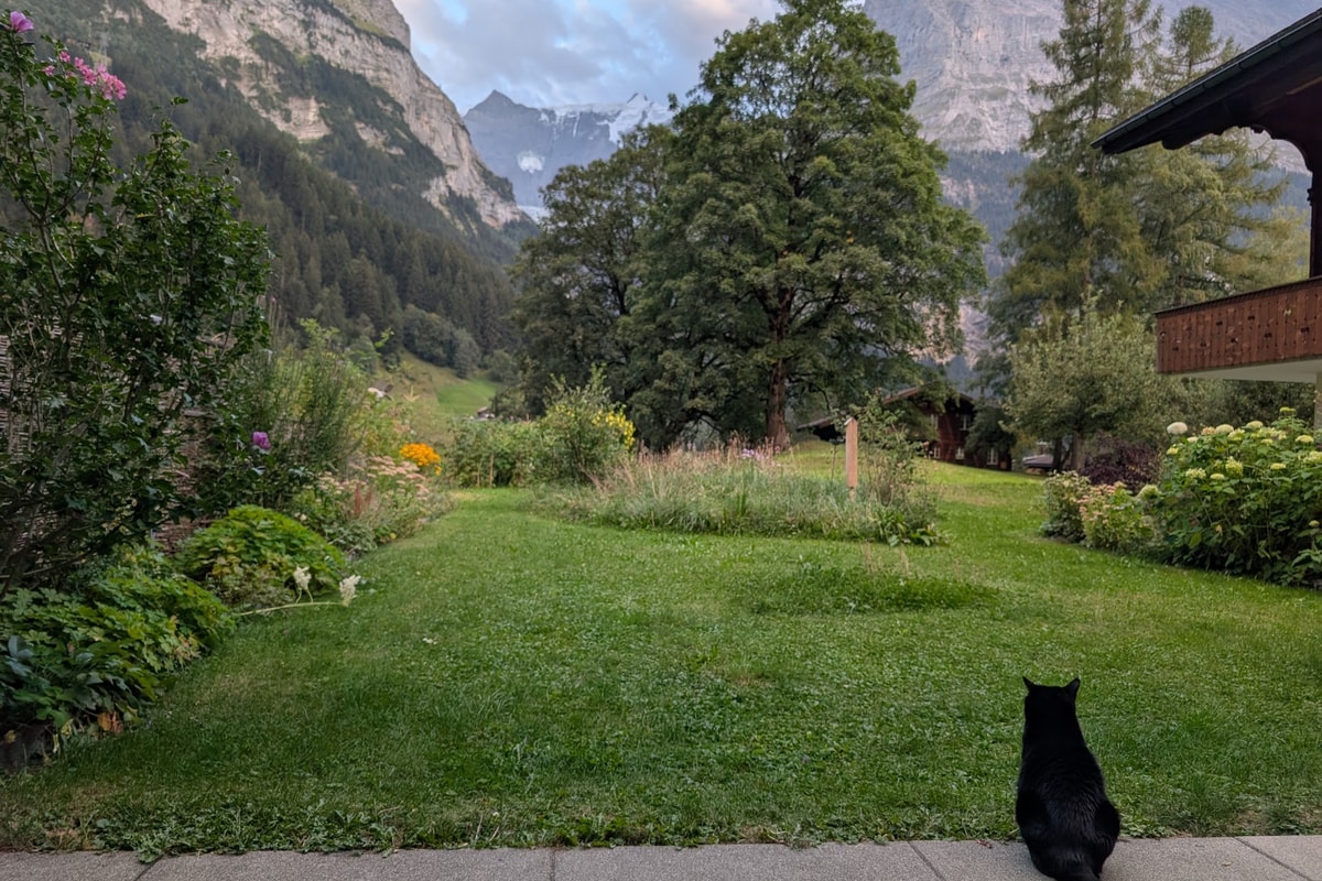 Grindelwald trip report