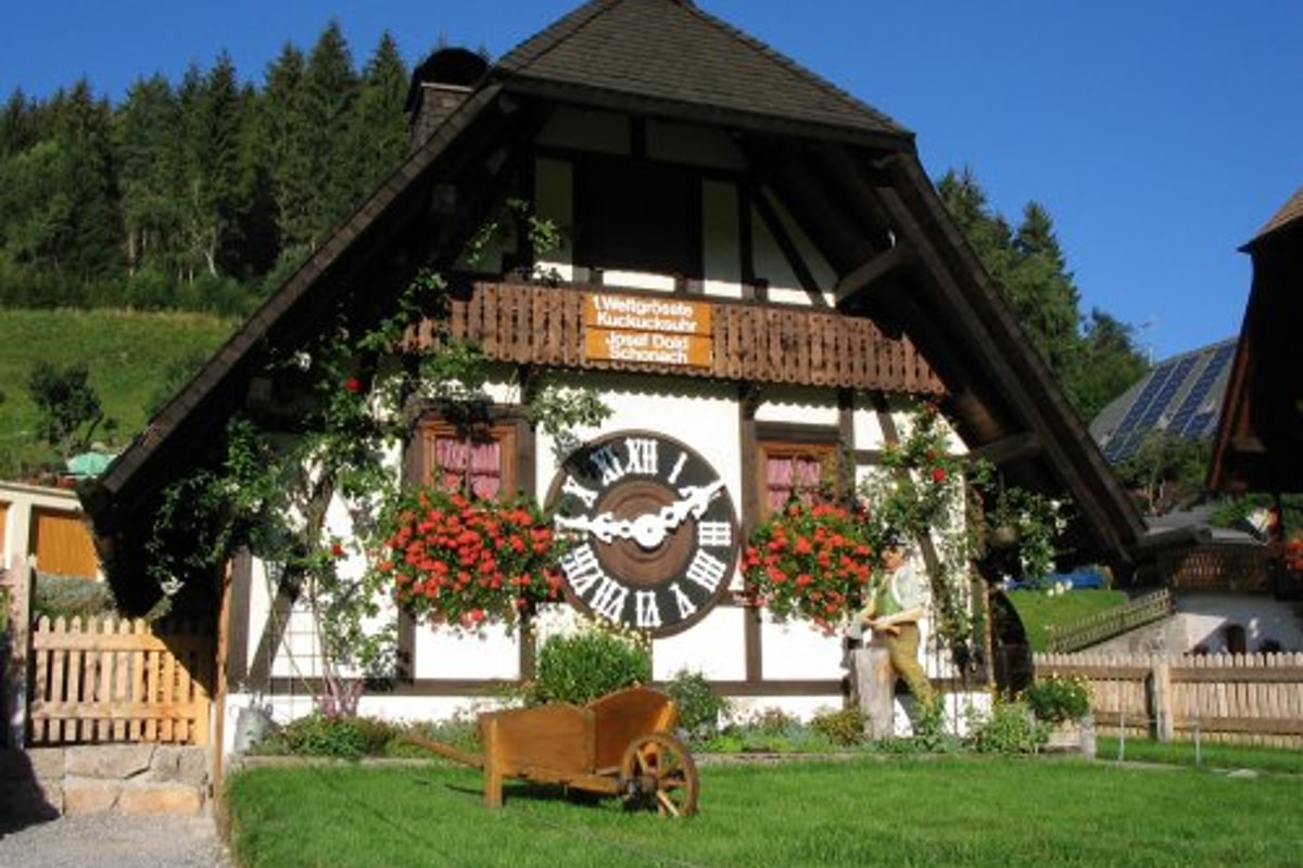 Schonach B500 black forest