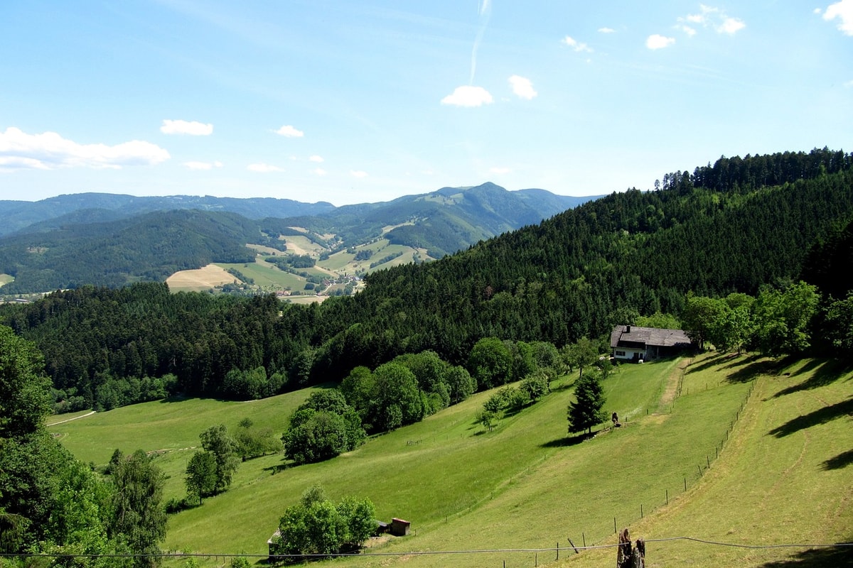 Schwarzwaldhochstrasse B500