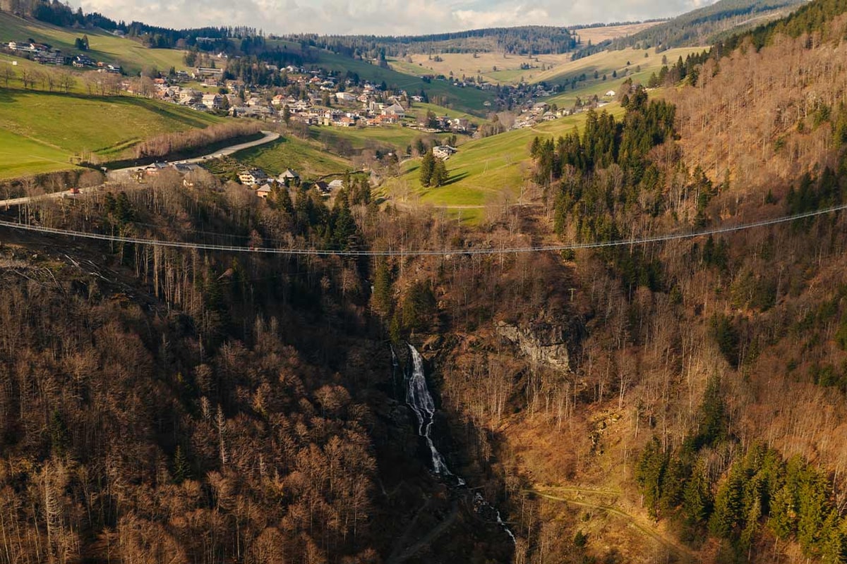 blackforestline-bild-text-anreise-2