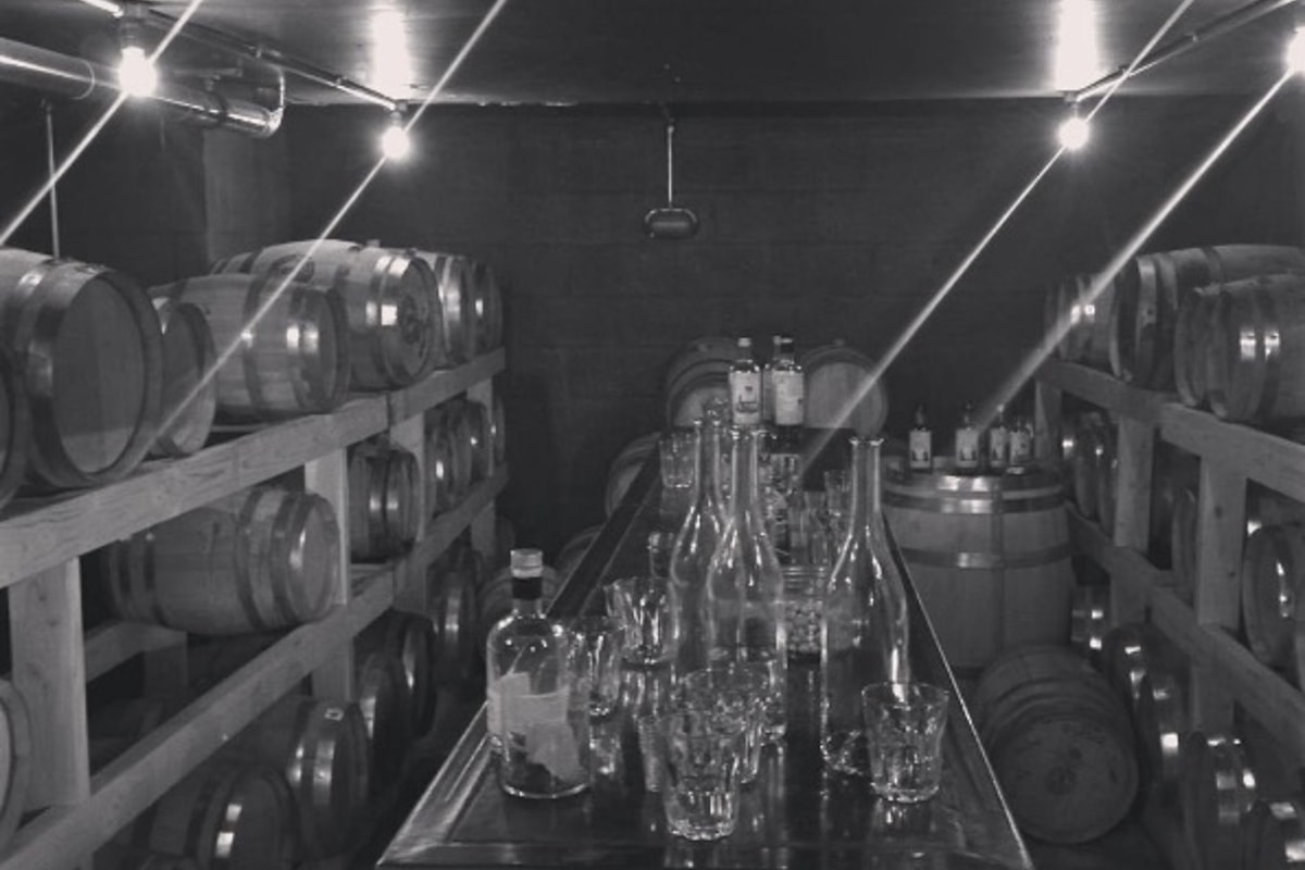 cellar