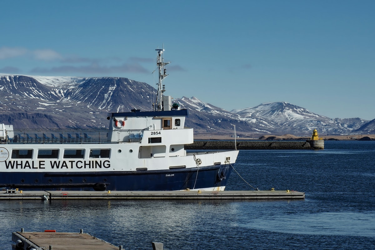 top things to do in Reykjavik