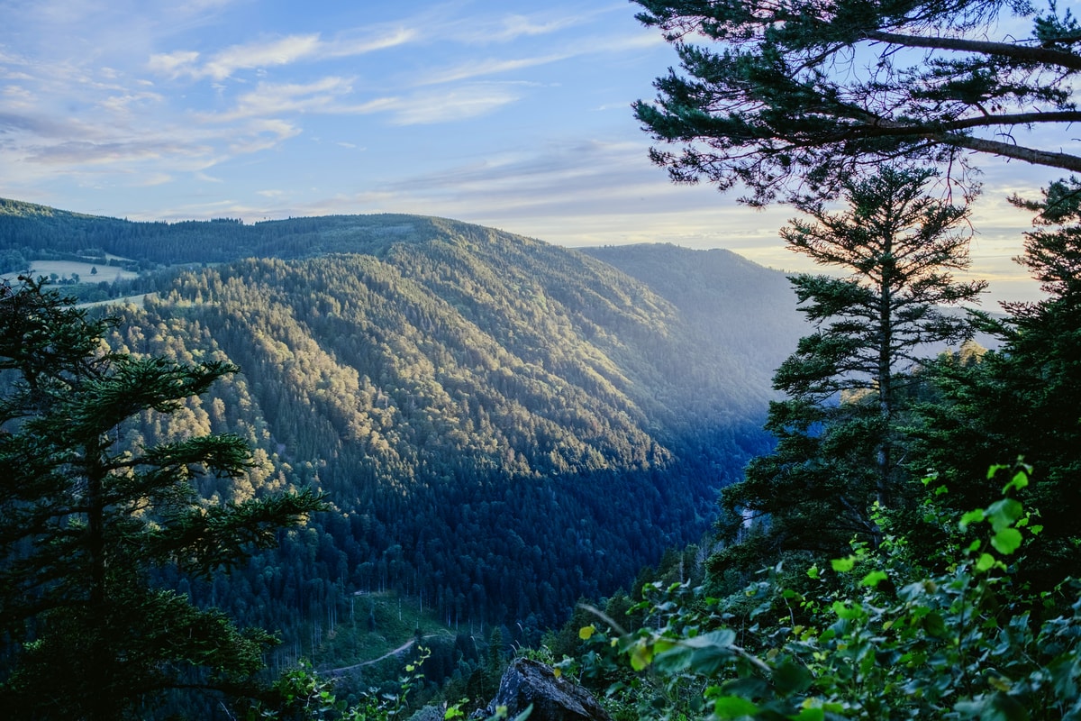 Black Forest High Road