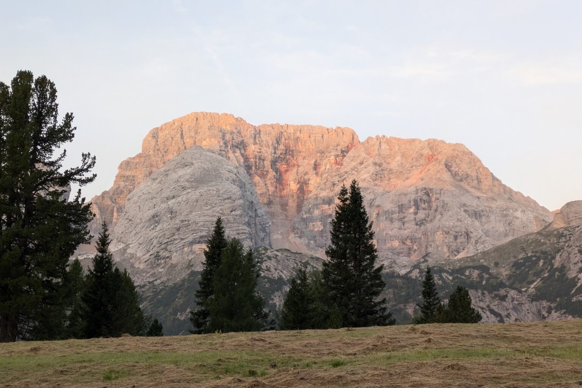 monte specie route 3