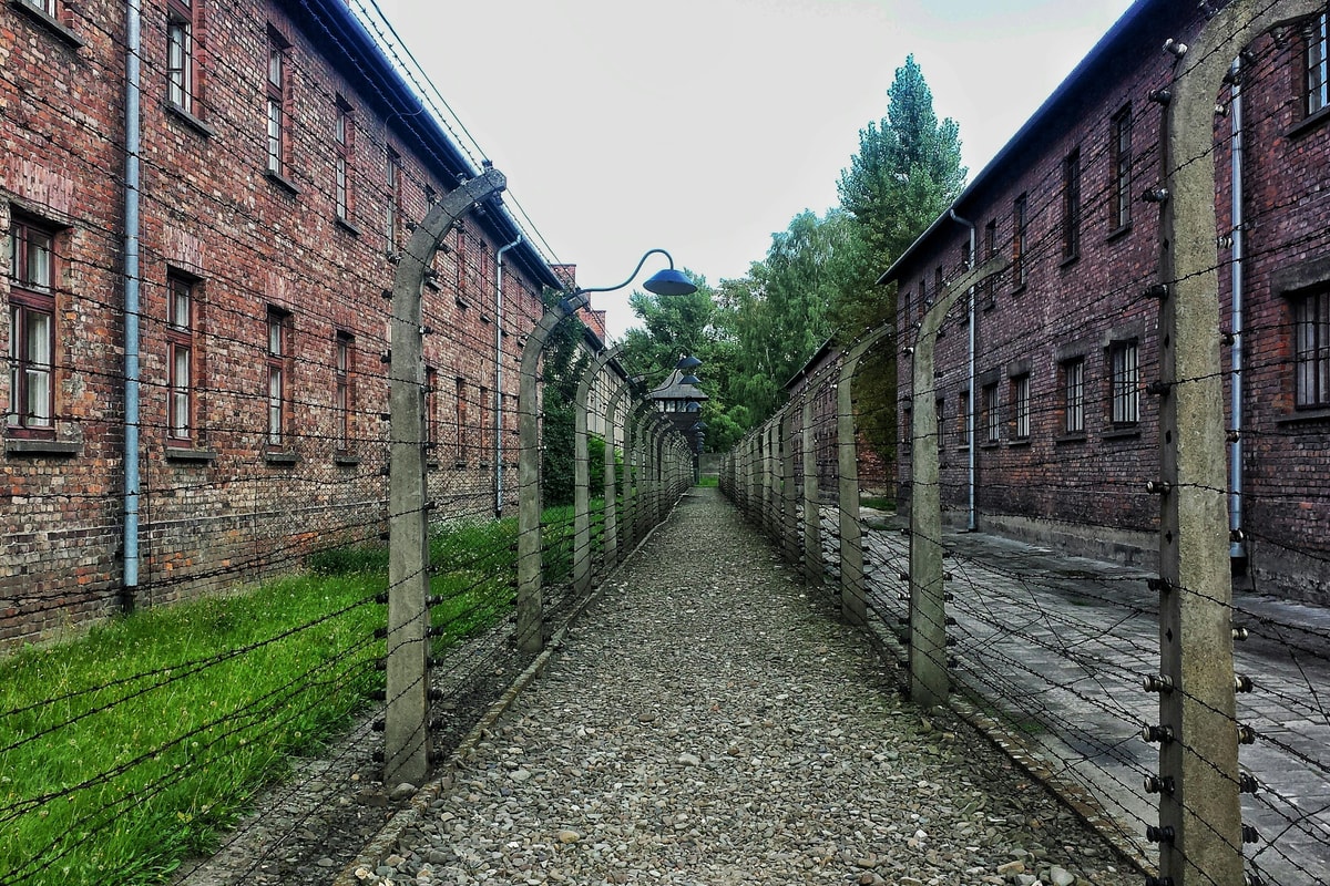 Visit Auschwitz