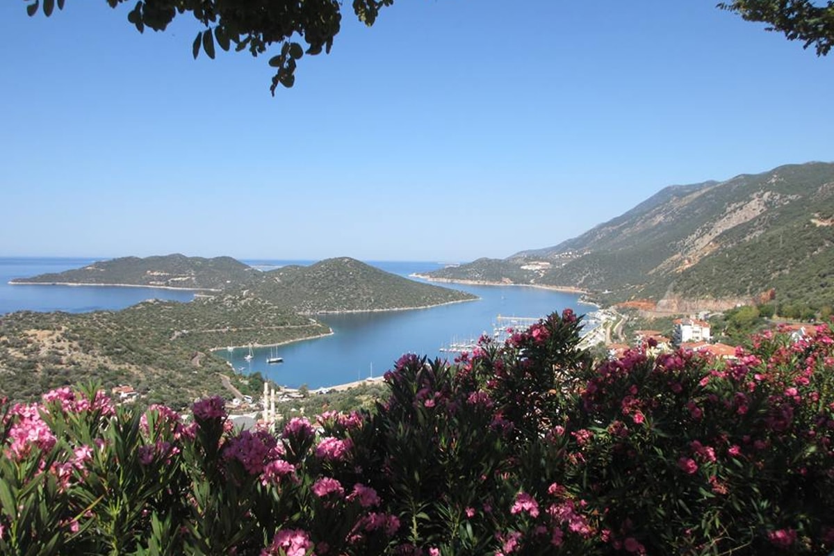 10487592_10152119432162003_6661264060135022532_n