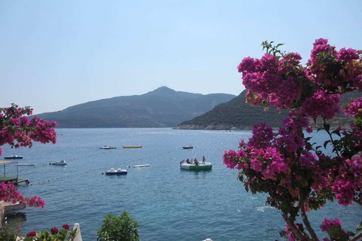 10530850_10152119448757003_2821032619109728614_n