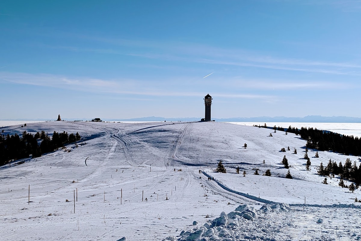 Black Forest Christmas