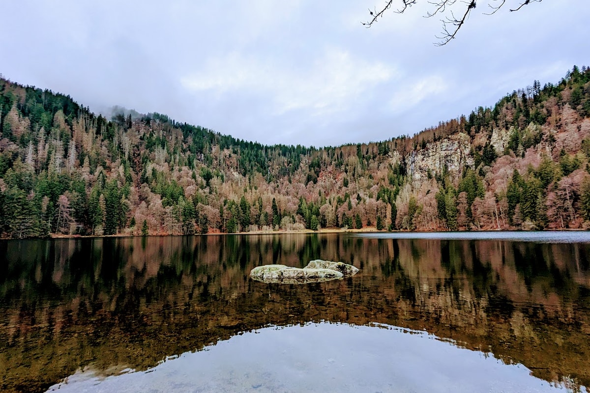 PXL_20221227_081123256