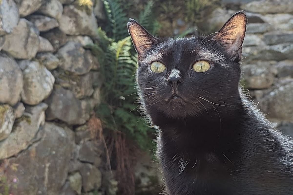 PXL_20230705_135306704