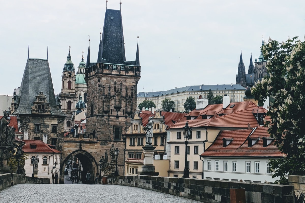 PXL_20240424_054531417