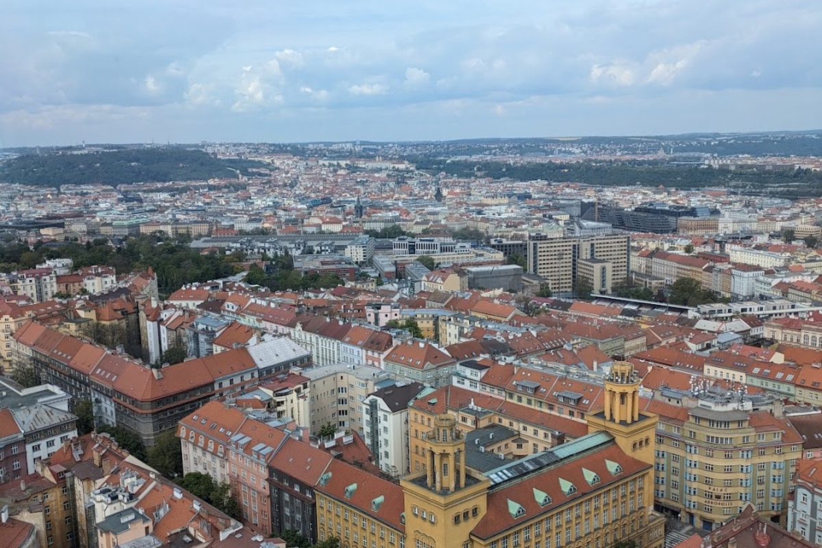 PXL_20240424_083629679