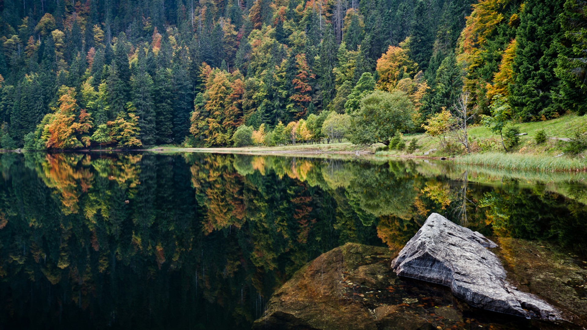 Trip Report: 2 Days in The Black Forest