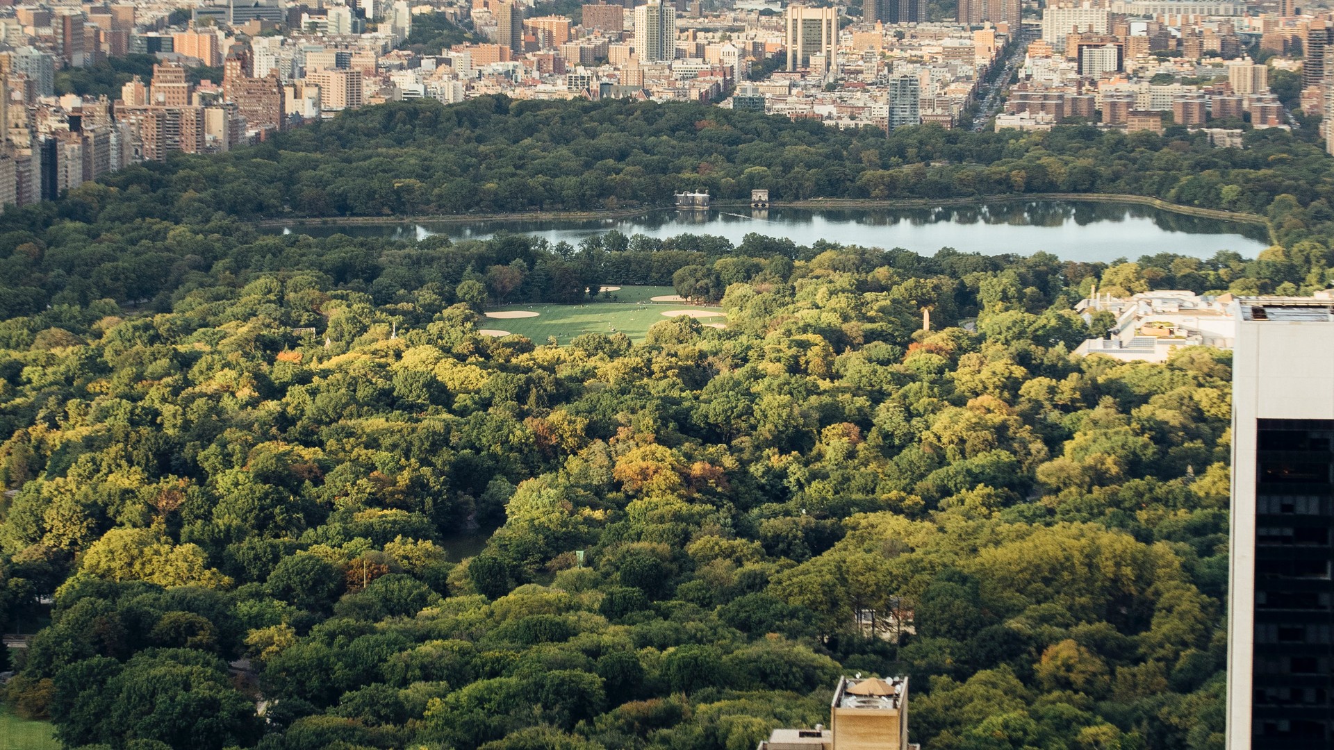 8 Days in New York City Trip Report