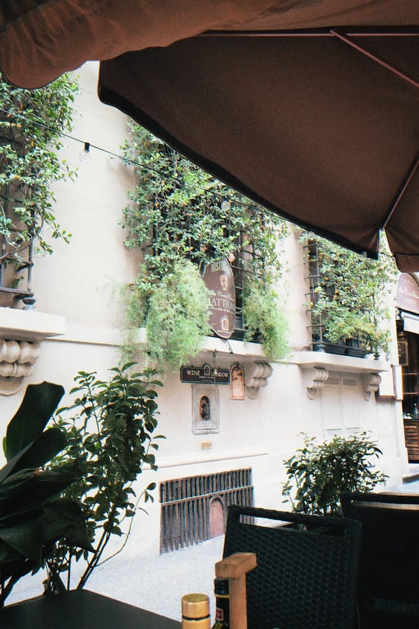 Florence wine windows