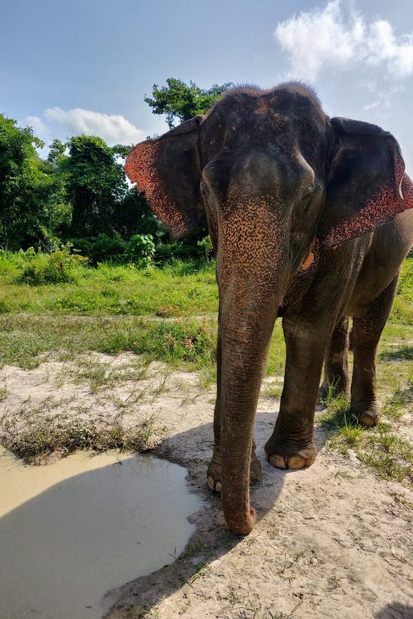 Krabi Sanctuary 2