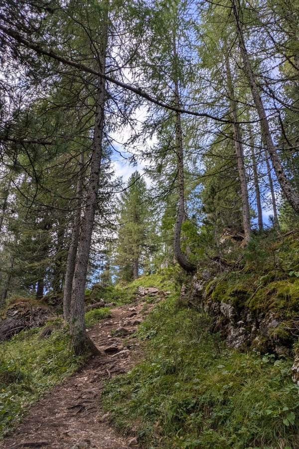 PXL_20240910_064108404.MP