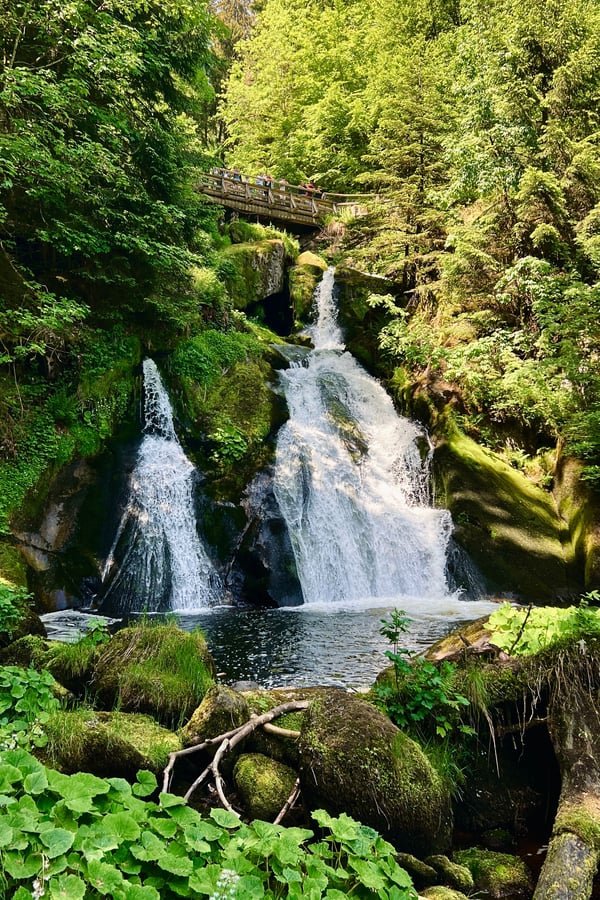 Triberg B500 black forest road