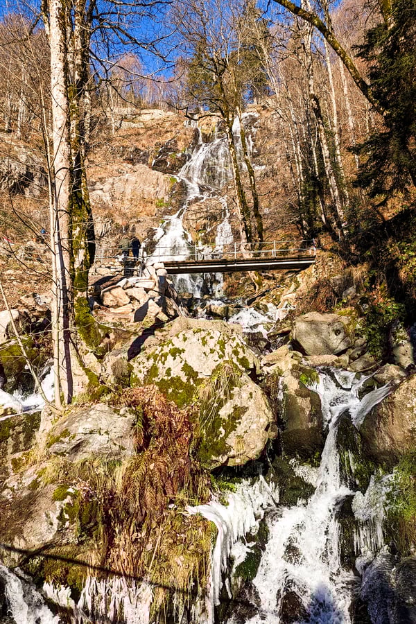 PXL_20221217_112801321 (1)