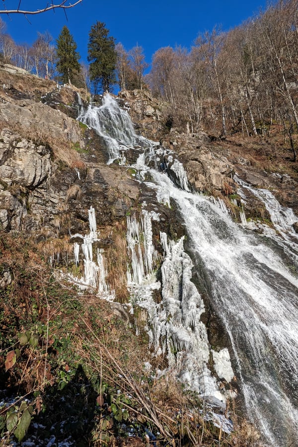 PXL_20221217_113403195