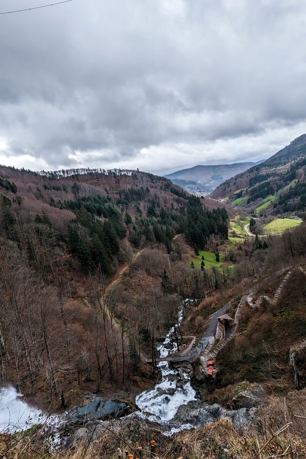 PXL_20221224_094813313 (1)