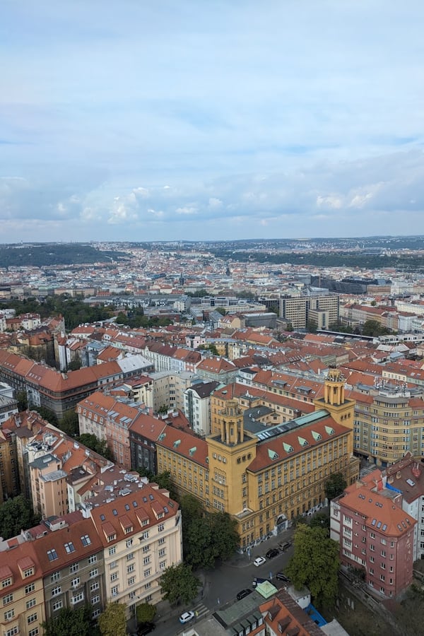 PXL_20240424_083629679