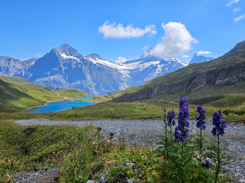 Switzerland