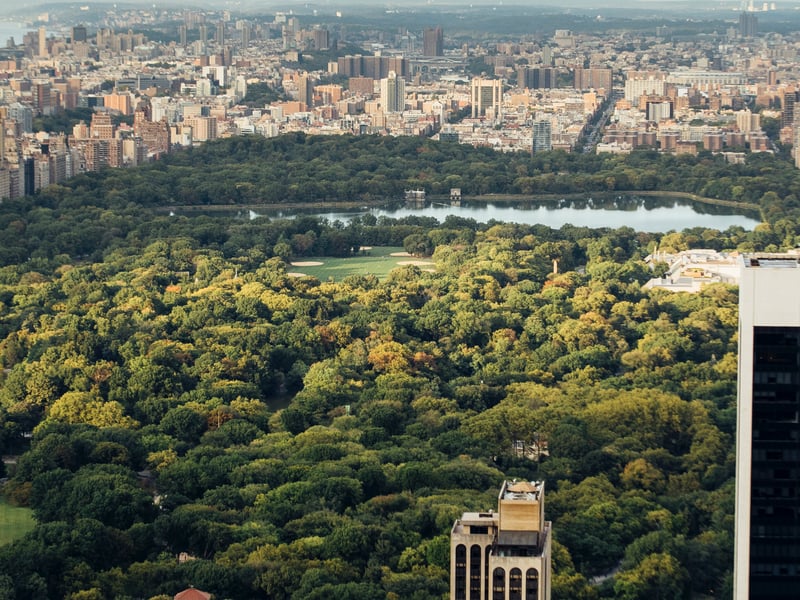 8 Days in New York City Trip Report
