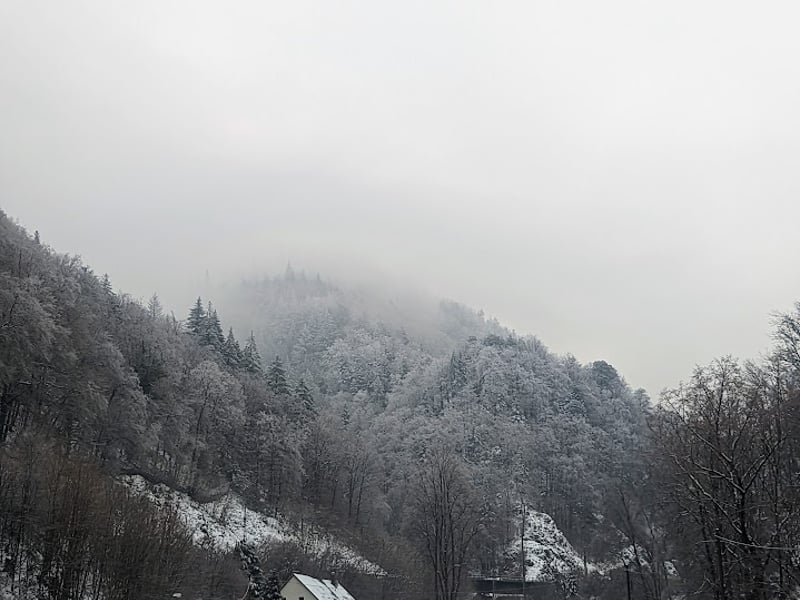 What You Need to Know About Spending Christmas in The Black Forest