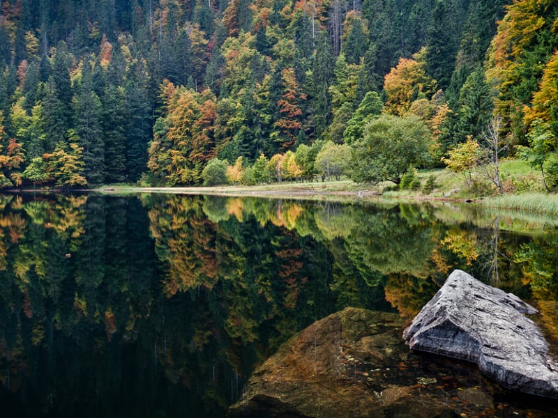 Trip Report: 2 Days in The Black Forest