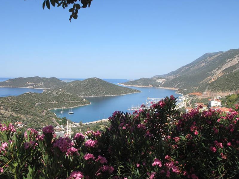 Turkey