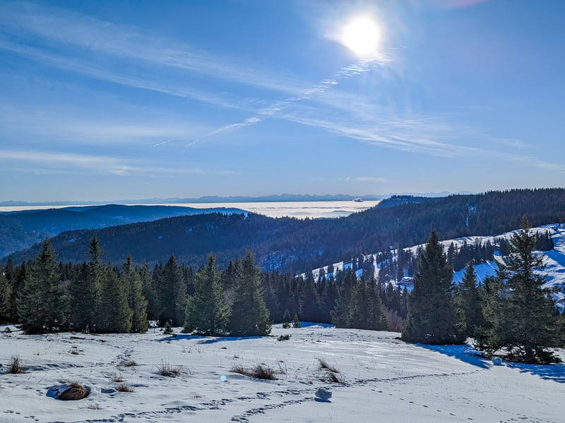 A Merry German Christmas: Staying in The Black Forest